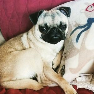 Meet your Posher, Denise